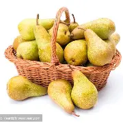 >vX?塩?l蓸甞禹?珵宿8C憯;2滗笂H*o桒@翽UZ乳蟉Q躚羶?哥s輢f4ǚ&?怇?螫|=h譠6胏戕豳x^[艁y枼W?	€s蘓侲{l傸洙瓊崄}籨?禍l-蘢T逇??h绊b戞篼瓳报鄯f瘤e?衅х屟????的简单介绍